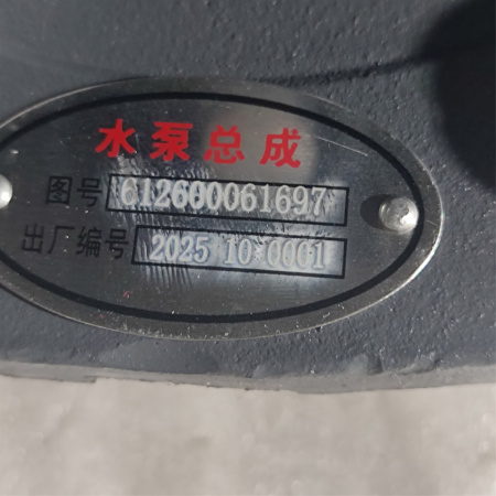 Насос водяной системы охлаждения ДВС - Shacman (Shaanxi) X3000